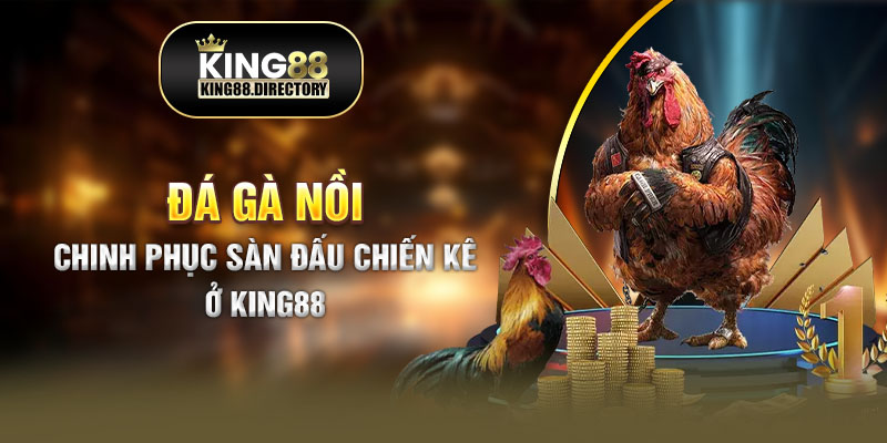 Đá gà nồi King88 tìm hiểu ngay